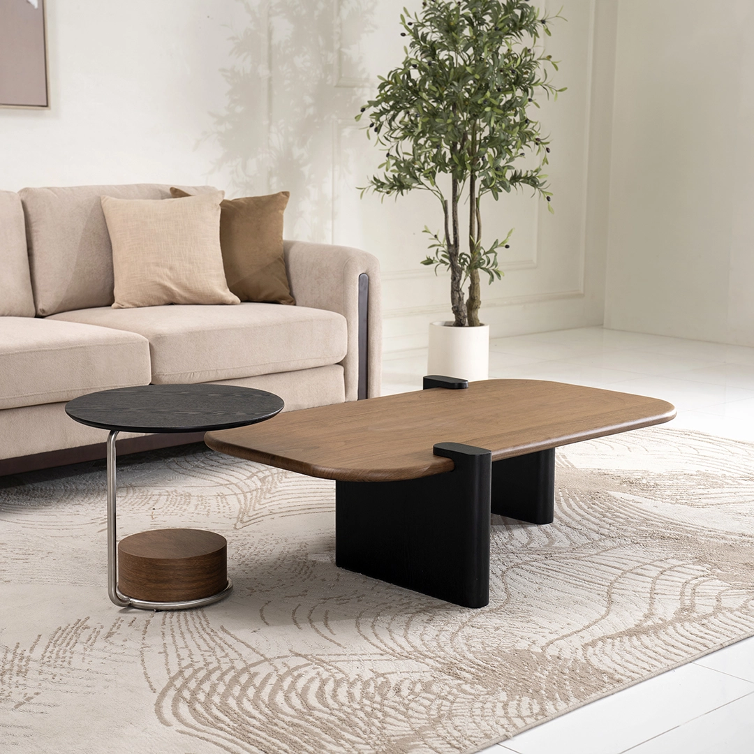Barcelona Coffee Table Set Of 2