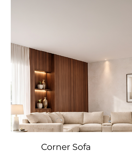 Promotional Banner