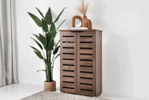 The Complete Guide to Finding the Perfect Shoe Cabinet