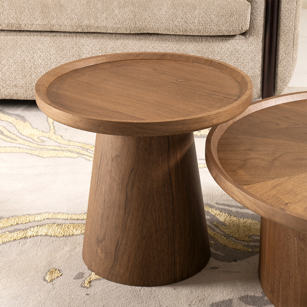 Thierry Coffee Table Set Of 2 thumbnail 6