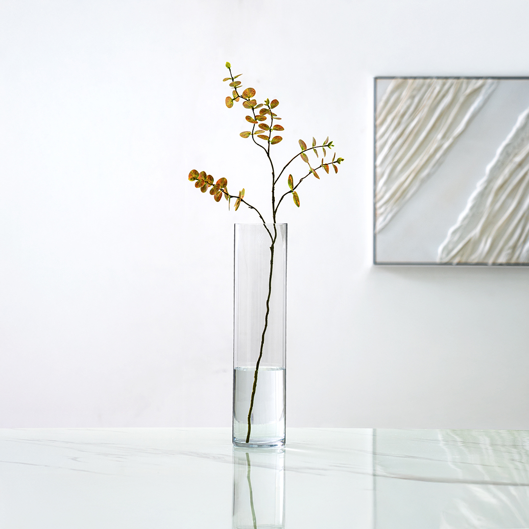 مزهرية أسطوانية من الزجاج الشفاف من أطلس - 12x50 سم